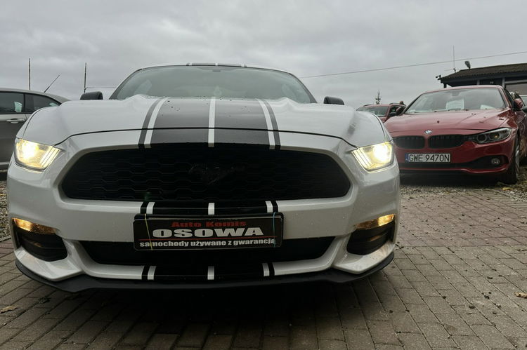 Ford Mustang 3.7v6 + gaz automat ledy xenon wydech bardzo zadbany doinwestowany gwa zdjęcie 5