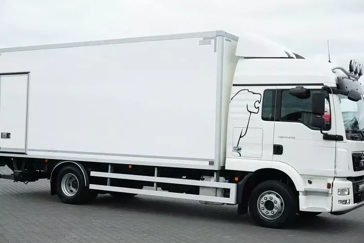 MAN TGM / 15.290 / EURO 6 / IZOTERMA + WINDA / 16 PALET zdjęcie 17