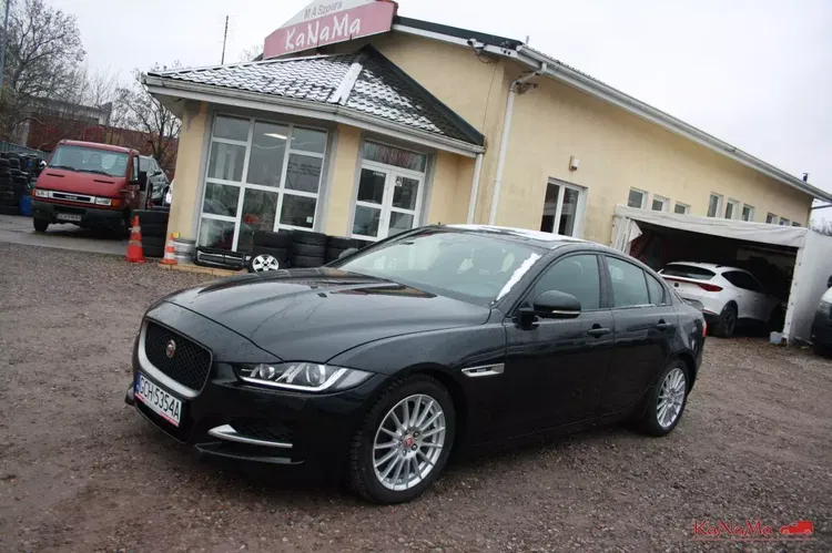 Jaguar xe zdjęcie 1