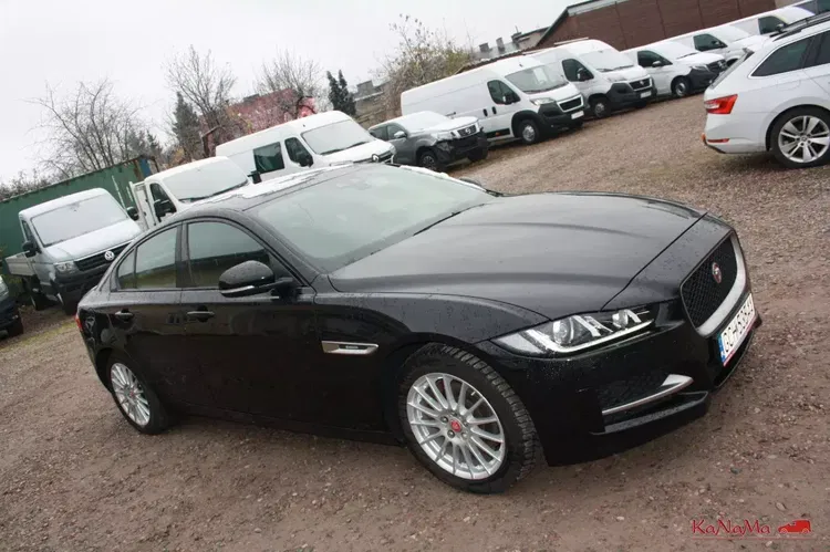 Jaguar xe zdjęcie 6