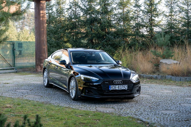 Audi A5 40 TDI / S Tronic / Quattro / 190 HP / SALON Niemcy / OSZCZĘDNY zdjęcie 16