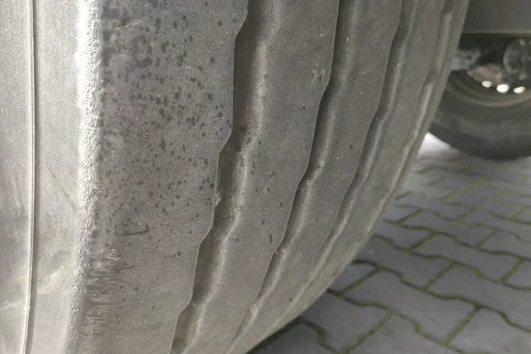 Wielton Standard na osiach SAF LIBNER DO PALET, ZRĄBKI, TROCIN zdjęcie 23