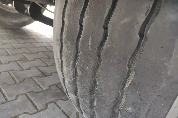 Wielton Standard na osiach SAF LIBNER DO PALET, ZRĄBKI, TROCIN zdjęcie 29