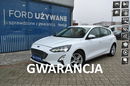 Focus Trend Edition 1, 5 EcoBlue 120KM ASO Forda Gwarancja Ford Używane zdjęcie 1