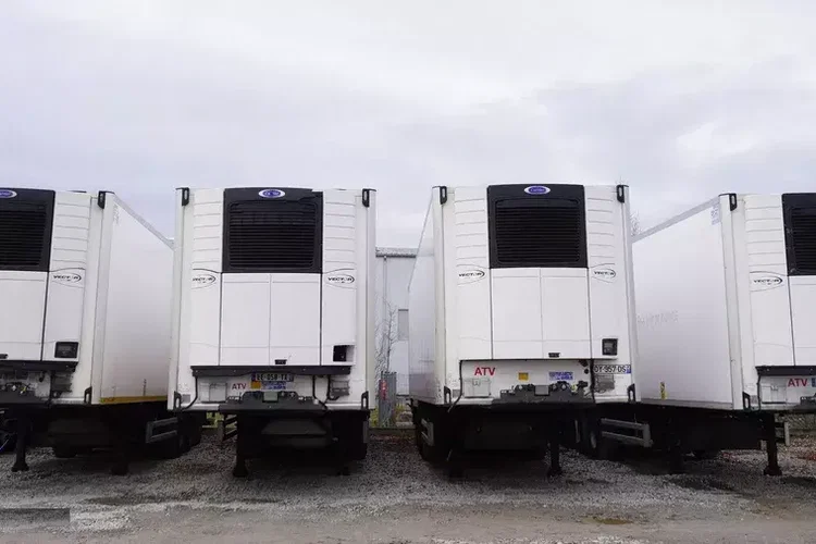 Lamberet / Carrier Vector 1950 MT (Multitemperatura) zdjęcie 3