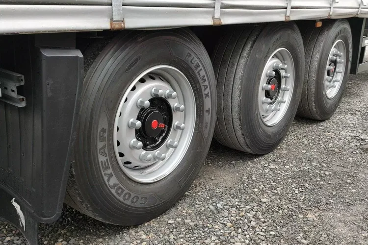 Schmitz Firana zdjęcie 11