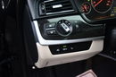 BMW 530 3.0d Panorama Dach, Xenony, Skóry, Head-Up.Asystent Pasa Ruchu. zdjęcie 28