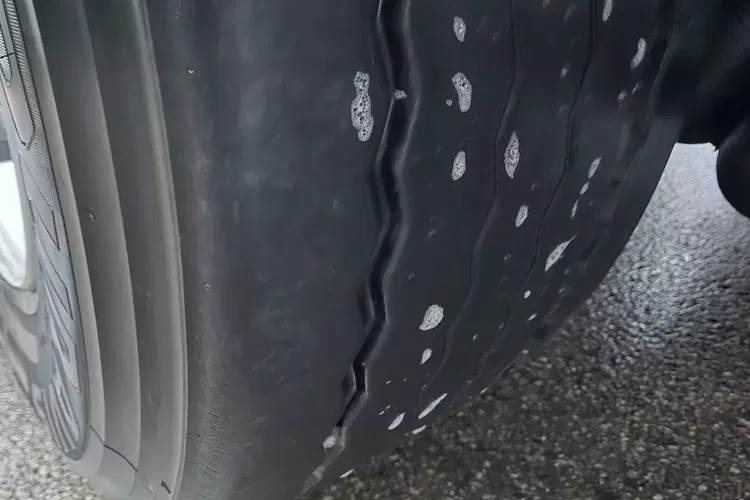 Schwarzmuller Burtowa zdjęcie 29