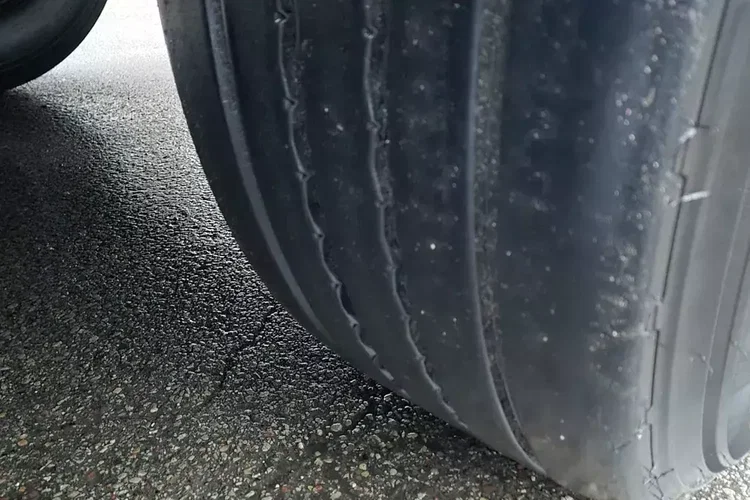 Schwarzmuller Burtowa zdjęcie 30