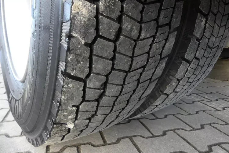 MAN TGM 18.290 / IZOTERMA + WINDA / GLOB / EURO 6 / OTWIERANY BOK / zdjęcie 19