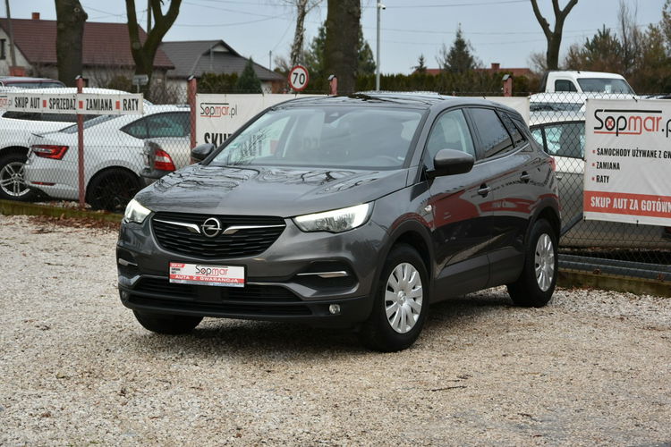 Opel Grandland X 1.5CDTi 130KM Manual 2019r. Panorama LED Kamera TEMPOMAT zdjęcie 3