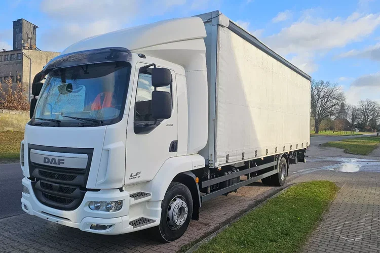 DAF LF 260 zdjęcie 2
