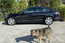 Mercedes C 180 Bardzo zadbana - 100% oryginalny przebieg zdjęcie 17