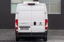 Fiat Ducato CHŁODNIA/MROŹNIA + gniazdo postojowe L2H2 zdjęcie 8