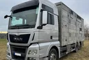 MAN TGX 26.440 Pezzaioli, 3 Pietra, Bydło, Trzoda, Żywca, Zwierząt zdjęcie 1