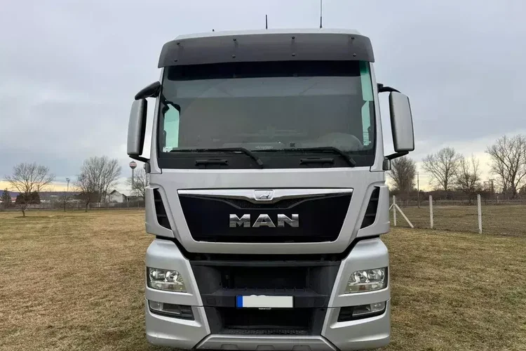 MAN TGX 26.440 Pezzaioli, 3 Pietra, Bydło, Trzoda, Żywca, Zwierząt zdjęcie 2