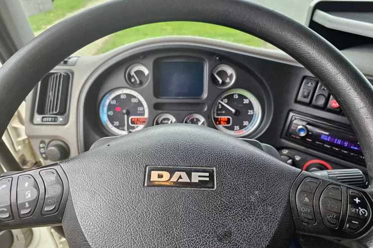 DAF LF 45.220 zdjęcie 28