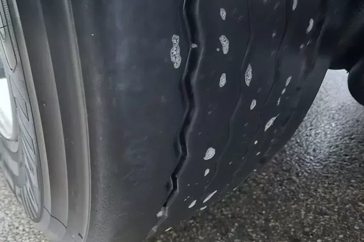 Schwarzmuller Burtowa zdjęcie 30