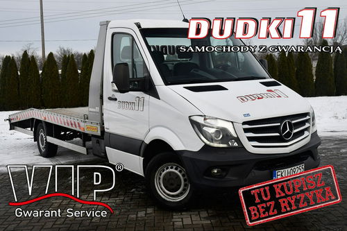 Mercedes Sprinter 2.2cdi Polska Salon, Serwis_Full, Navigacja, Autolaweta, Tempomat.Ledy