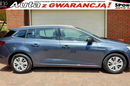 Renault Megane 1.3TCe Bussines GT Salon PL 100%Bezwypadkowy F.vat23%ASO, Tempomat, zdjęcie 6