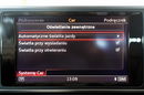 Audi A6 Allroad PANORAMA+BIXENONY+PNEUMATYKA Gwarancja Krajowy Bezwypad 272KM QUATTRO 4x2 zdjęcie 49