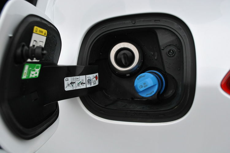 Focus Hatchback Connected 1, 5 EcoBlue 120KM ASO Forda Gwarancja zdjęcie 12