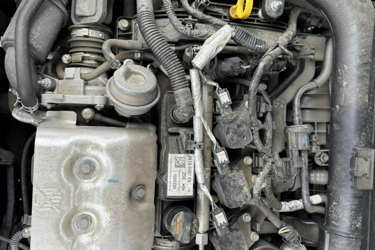 EcoSport model 2021, skóra, kamera, pierwszy właściciel, serwis ford zdjęcie 27