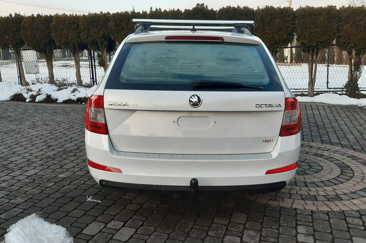 Octavia Skoda Octavia 1.6 TDI 4x4 zdjęcie 13