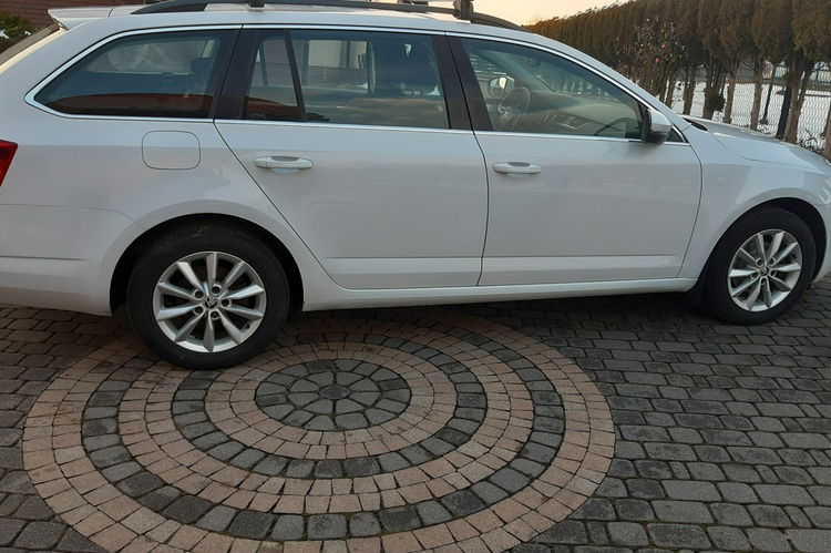 Octavia Skoda Octavia 1.6 TDI 4x4 zdjęcie 16
