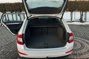 Octavia Skoda Octavia 1.6 TDI 4x4 zdjęcie 25