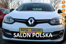 Renault Megane krajowy.1-właściciel, klimatronic, serwis, zarejestrowany zdjęcie 1
