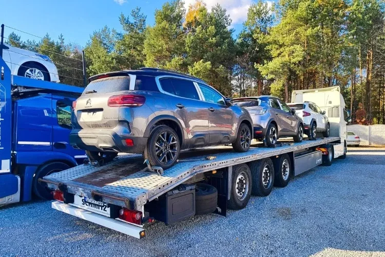 SCHMIDT S01 zdjęcie 9