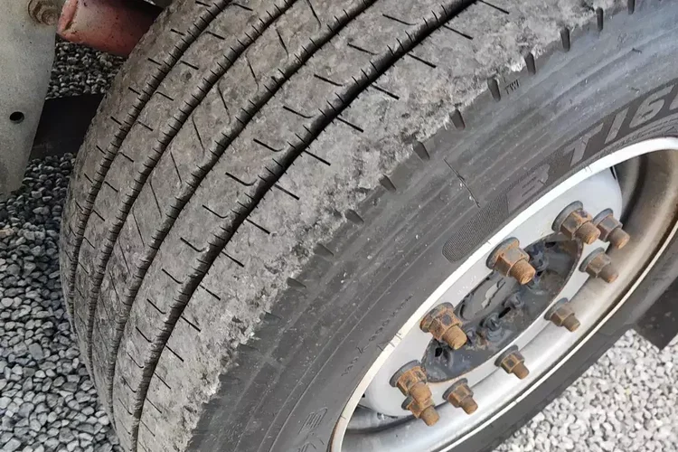 SCHMIDT S01 zdjęcie 14