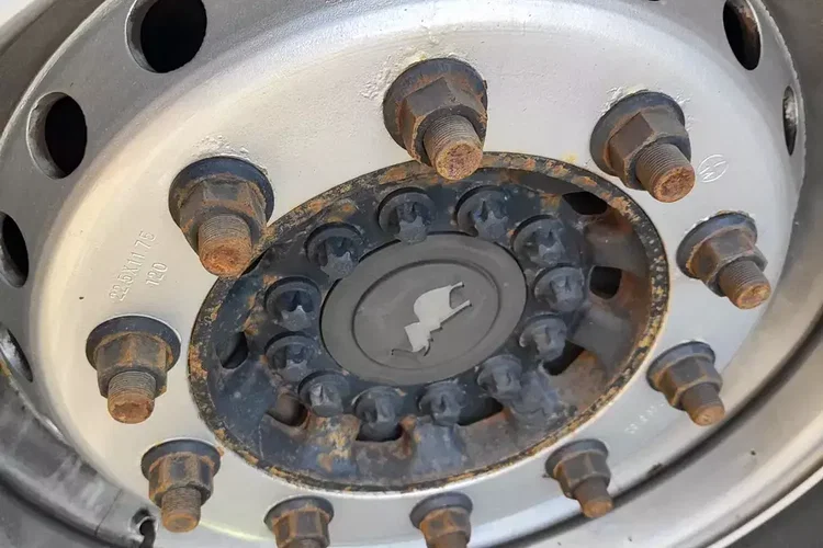 SCHMIDT S01 zdjęcie 15