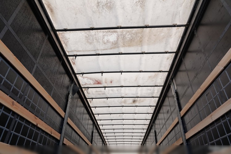 Schmitz -CARGOBULL / FIRANKA / STANDARD /  2 OSIE  PODNOSZONE / KOSZ NA PALETY / 2018 ROK / PLANDEKA ZBROJONA zdjęcie 18