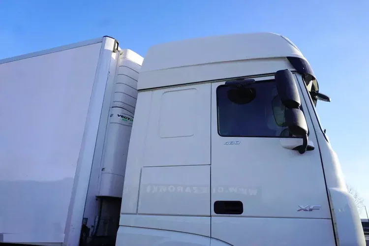 DAF XF 480 Euro 6 / 2021 / Chłodnia Lamberet / Carrier Vector 1550 zdjęcie 12