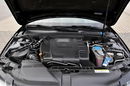 Audi A4 2.0TDI(143KM) Navi MMI Klimatronic Parktronic Chrom Aso zdjęcie 37