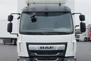 DAF LF / 210 / EURO 6 / CHŁODNIA + WINDA / 14 PALET zdjęcie 14