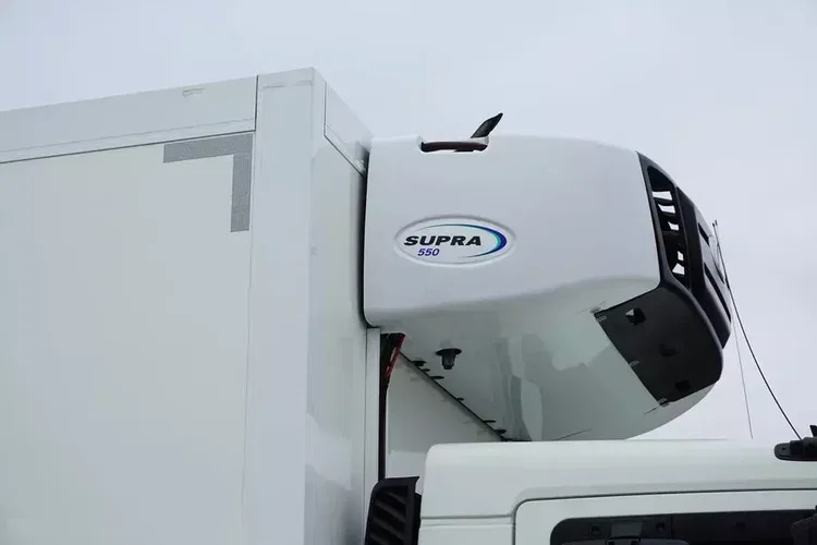 DAF LF / 210 / EURO 6 / CHŁODNIA + WINDA / 14 PALET zdjęcie 25