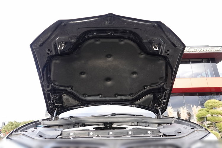 BMW X5 / xDrive30d / 265KM / INDIVIDUAL / GRZANA KIEROWNICA / DOKŁADKI KARBONOWE / ZAWIESZENIE PNEUMATYCZNE / zdjęcie 39