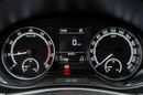 Skoda Fabia WD5592T#1.0 TSI Ambition K.cof Cz.park Klima Salon PL VAT 23% zdjęcie 17