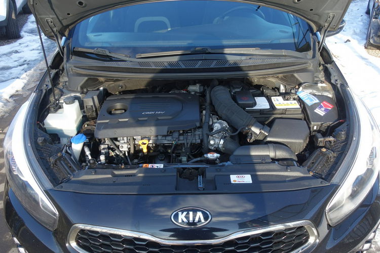 Cee'd Kia Ceed 2015 1.6 diesel 136km wersja GT-LINE panorama navi kamera zdjęcie 31