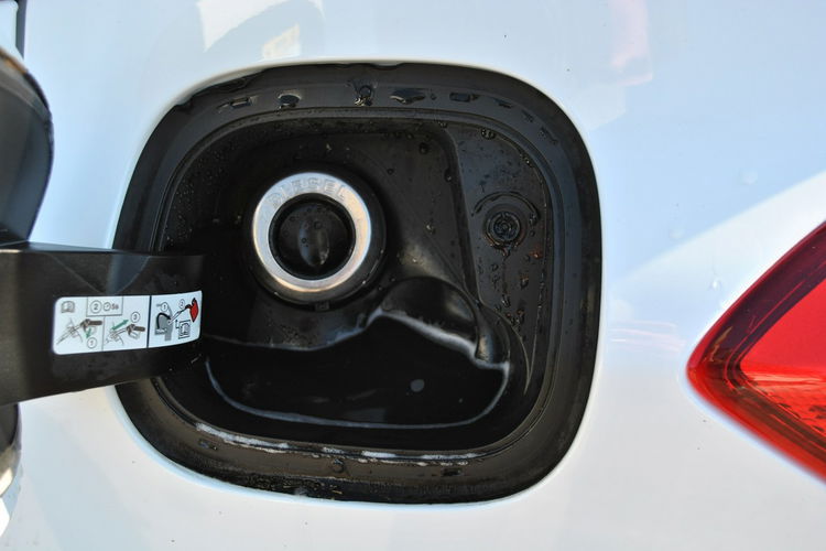 Focus Trend Edition 1, 5 EcoBlue 120KM ASO Forda Gwarancja Ford Używane zdjęcie 13