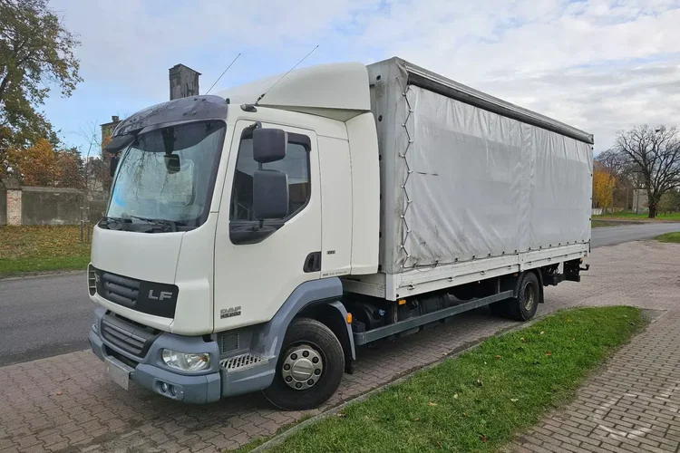 DAF LF 45.220 zdjęcie 2