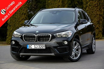 BMW X1 z Niemiec 2xParktronic Park Assist EL.Klapa Alu 18 ASO BMW Europa