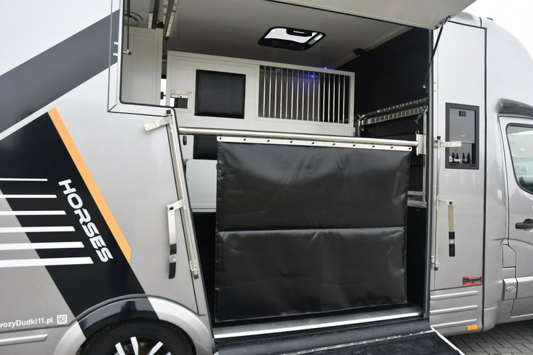 Renault Master Koniowóz - Nowa Zabudowa.Master na 2 Konie. 2.3dci. Hak.Klimatyzacja zdjęcie 15