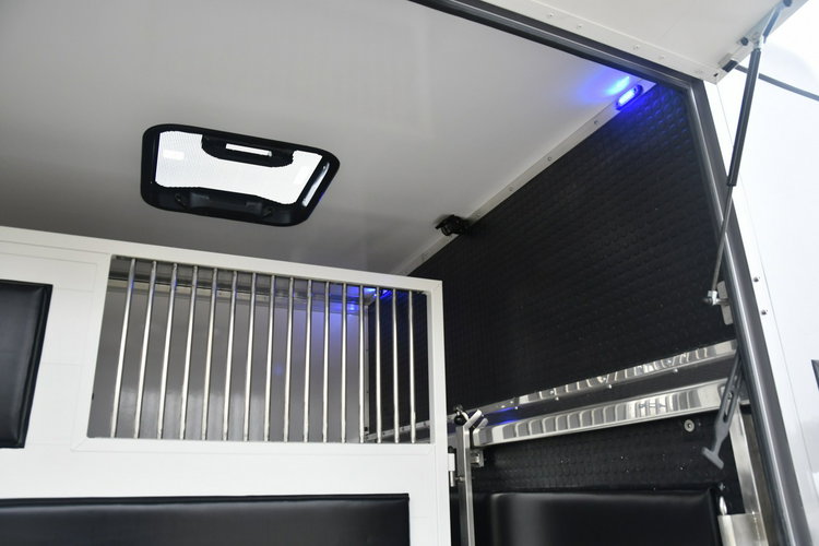 Renault Master Koniowóz - Nowa Zabudowa.Master na 2 Konie. 2.3dci. Hak.Klimatyzacja zdjęcie 16