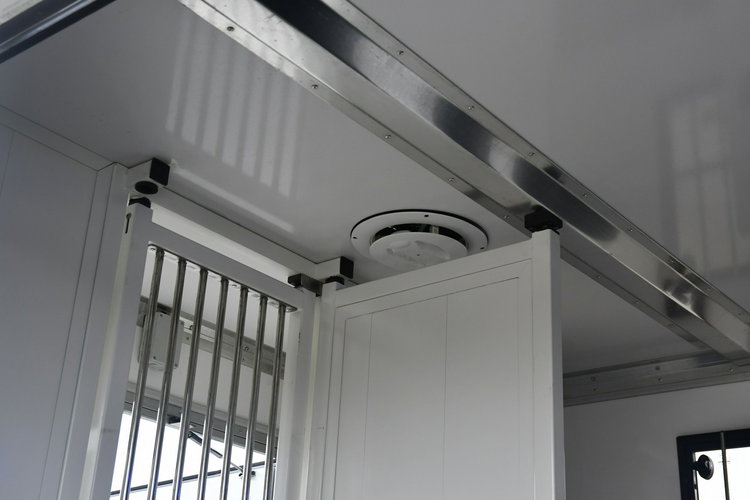 Renault Master Koniowóz - Nowa Zabudowa.Master na 2 Konie. 2.3dci. Hak.Klimatyzacja zdjęcie 28