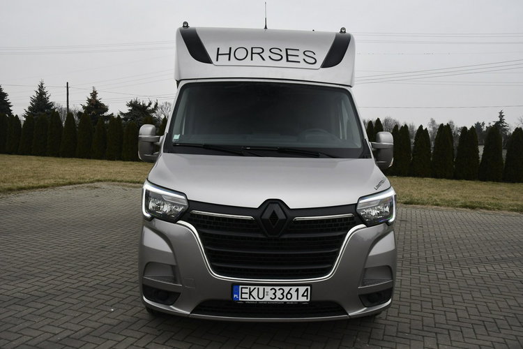 Renault Master Koniowóz - Nowa Zabudowa.Master na 2 Konie. 2.3dci. Hak.Klimatyzacja zdjęcie 5