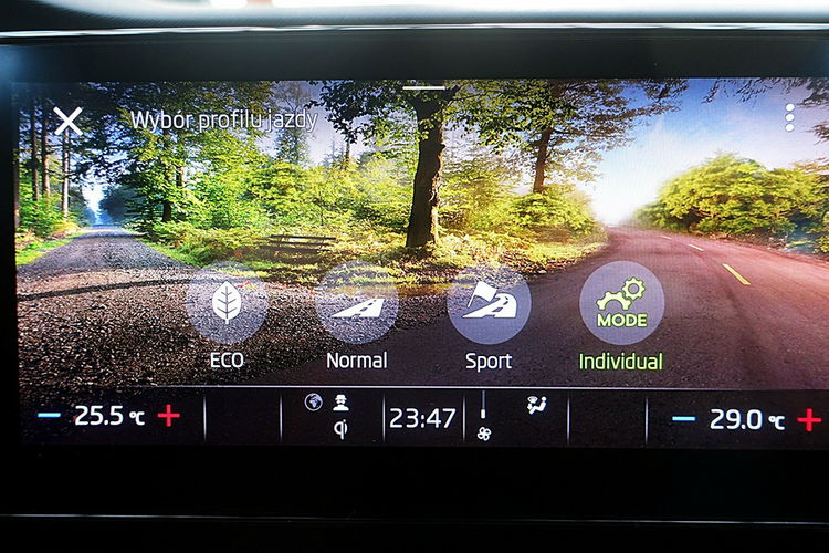 Skoda Octavia VIRTUAL COCPIT+Led+Podgrze.P.Szyba+ACC GWARANCJA 1wł Kraj Bezwyp F23% 4x2 zdjęcie 21